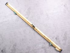 画像2: Anatomical Wall Chart "SKIN AND TONGUE" (2)