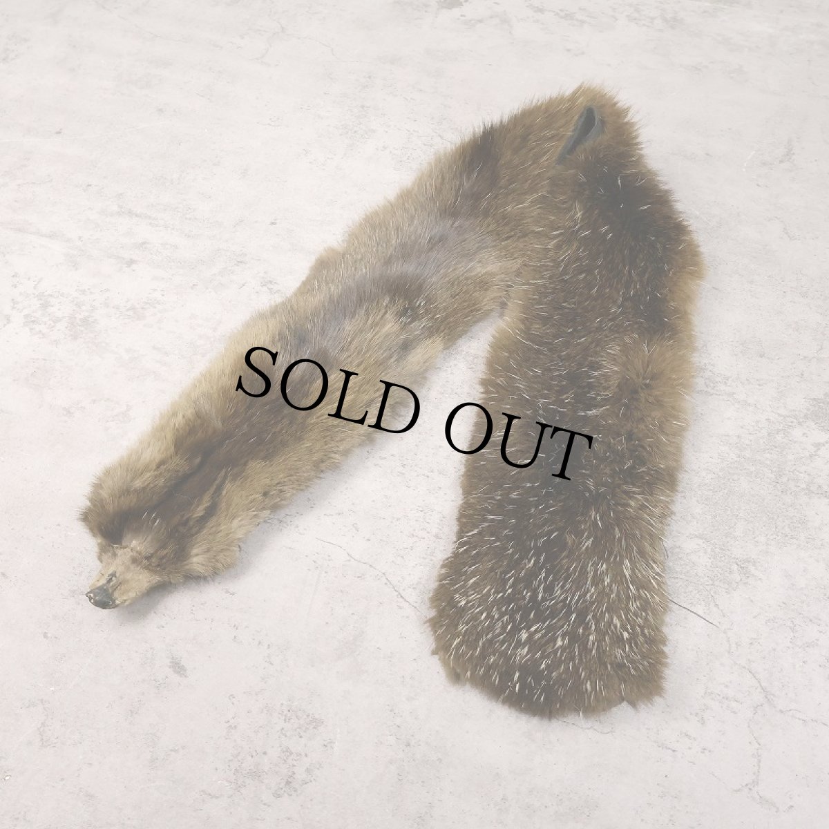 画像1: ミンク/フォックス リアルファー (1)