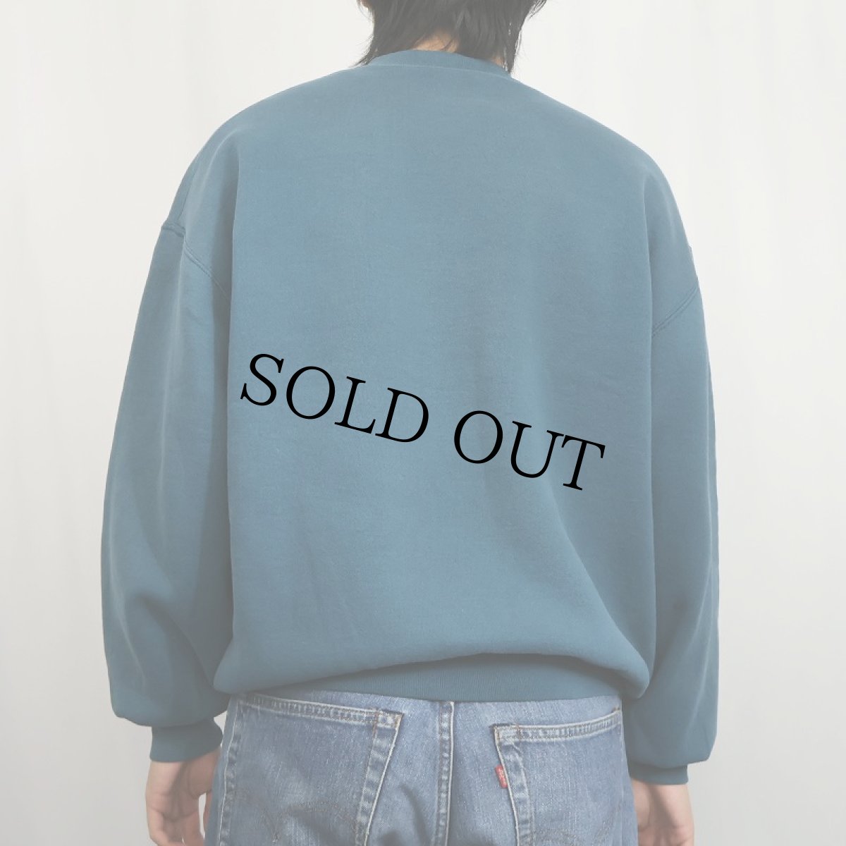 画像3: 90's RUSSELL ATHLETIC USA製 前V 無地スウェット XL (3)