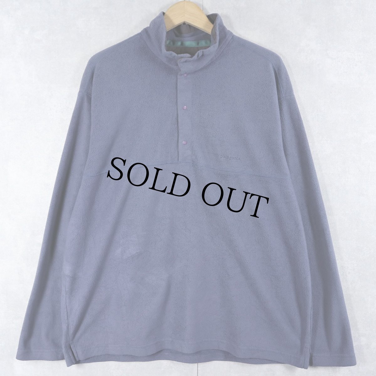 画像1: 90's Patagonia USA製 "MICRO D-LUXE" フリースプルオーバージャケット L (1)
