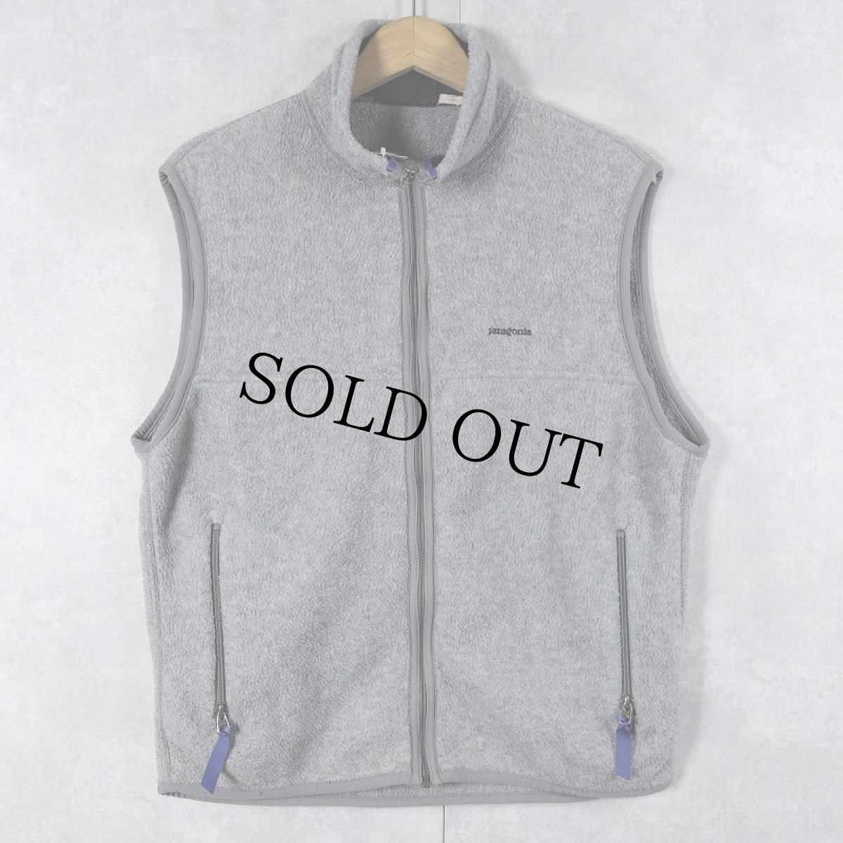 画像1: 90's Patagonia USA製 シンチラフリースベスト M (1)