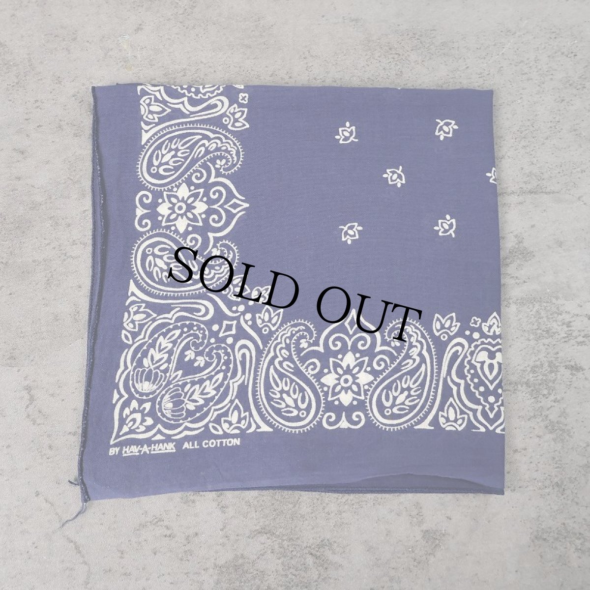 画像1: 60's〜 HAV-A-HANK FAST COLOR ペイズリー柄 バンダナ (1)