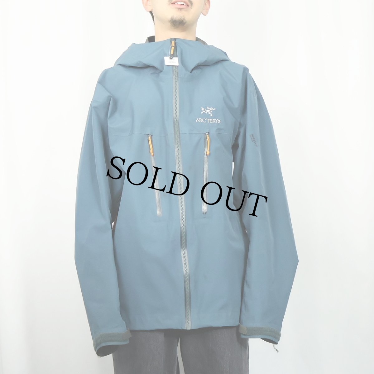 画像3: ARC'TERYX "Alpha LT" GORE-TEX Pro Shell Jacket X-LARGE (3)