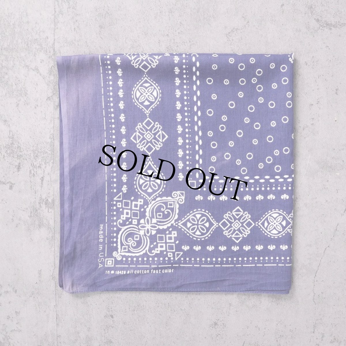 画像1: 70's FAST COLOR USA製 バンダナ  (1)