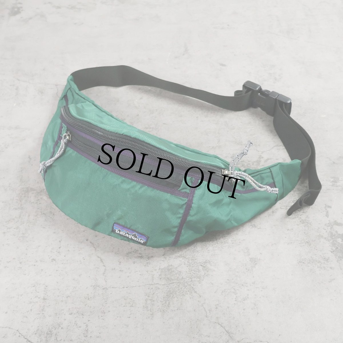 画像1: 90's Patagonia USA製 HIP VAULT ウエストバッグ (1)