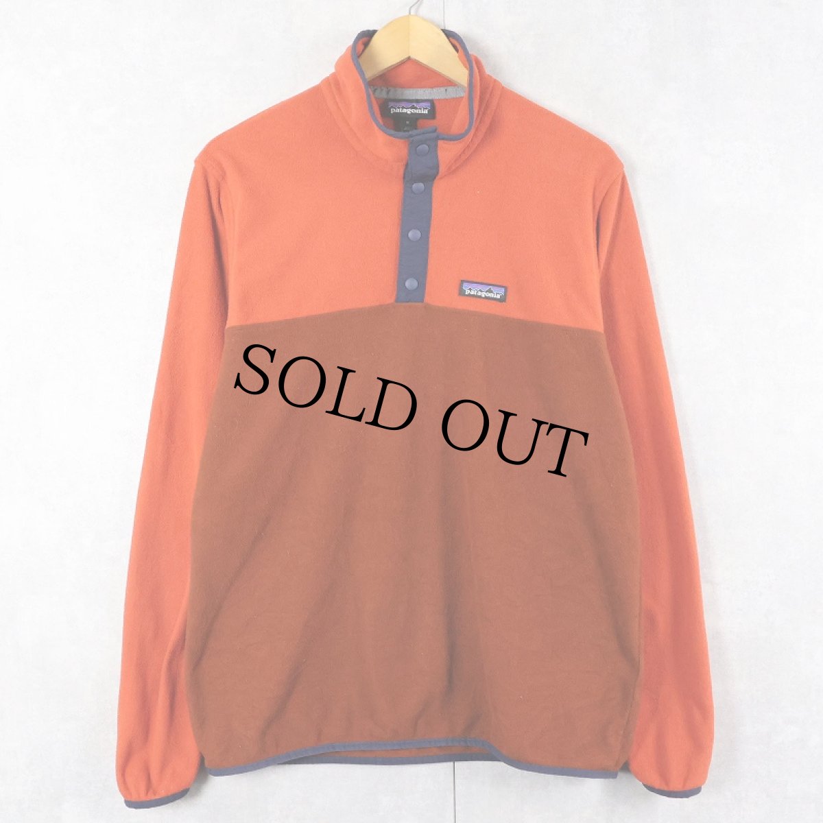 画像1: 2020AW Patagonia マイクロD スナップT M (1)