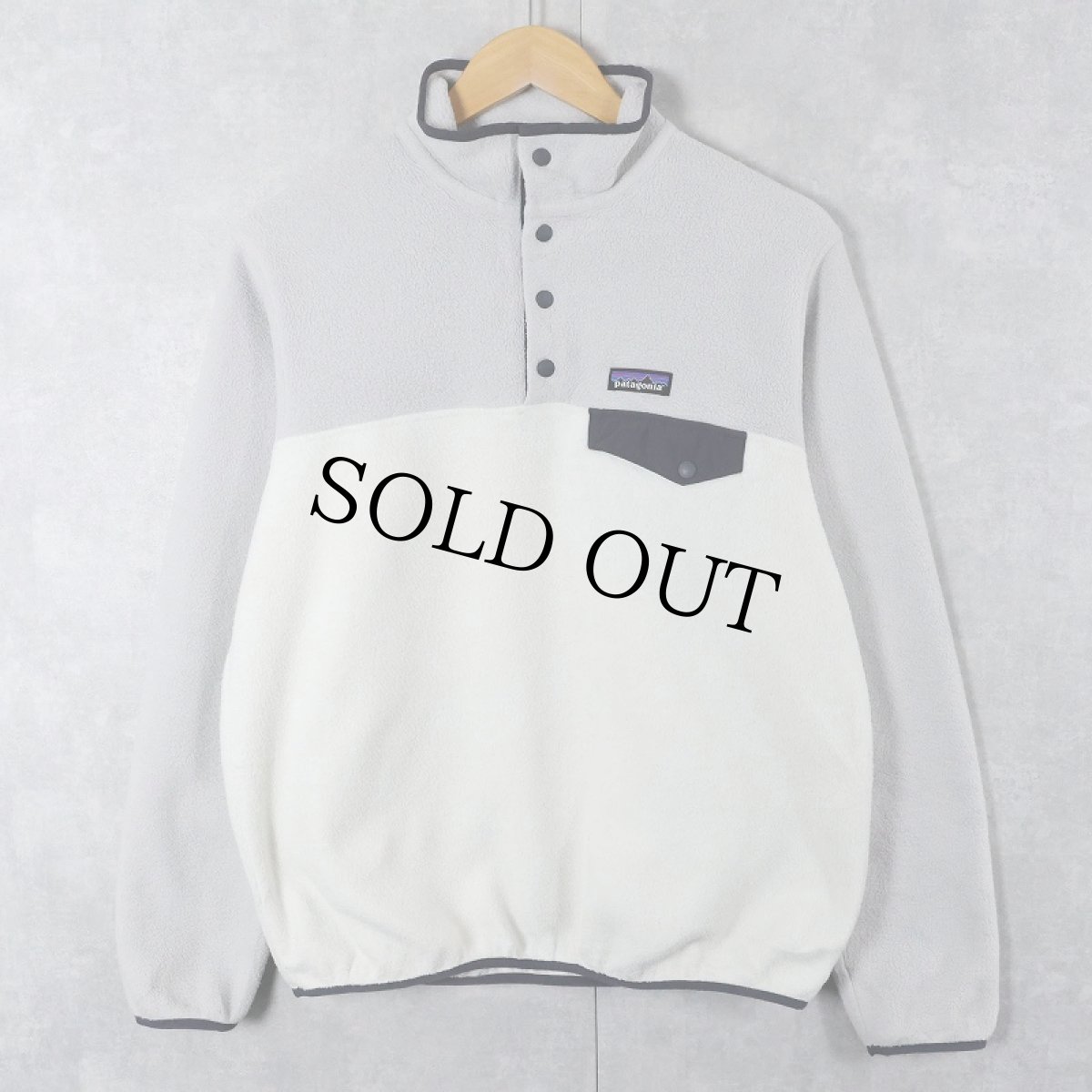 画像1: 2017AW Patagonia スナップT M (1)