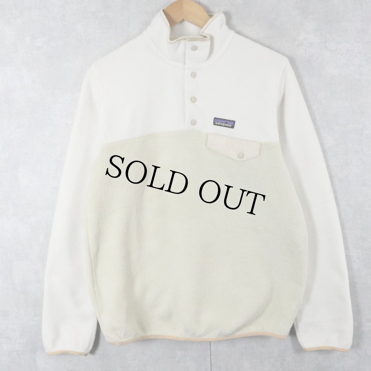 画像1: 2016AW Patagonia スナップT M (1)