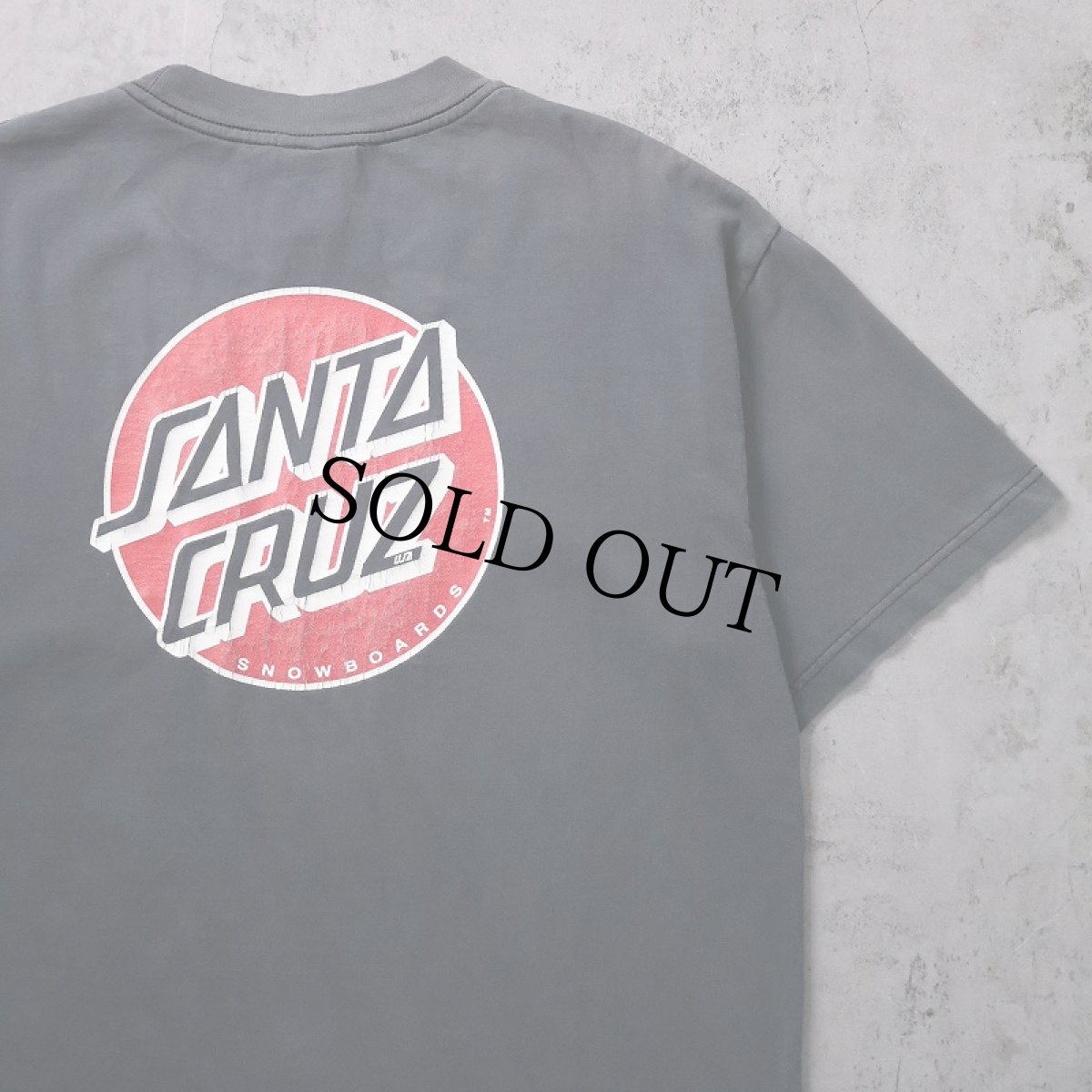 画像1: 90's SANTA CRUZ USA製 ロゴプリントTシャツ L (1)