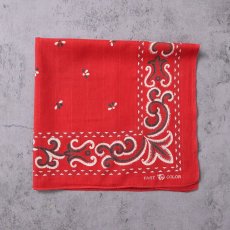 画像1: 50's エレファントブランド 総柄 バンダナ 下鼻 (1)