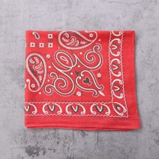 画像1: 50's エレファントブランド ペイズリー柄 バンダナ 下鼻 (1)