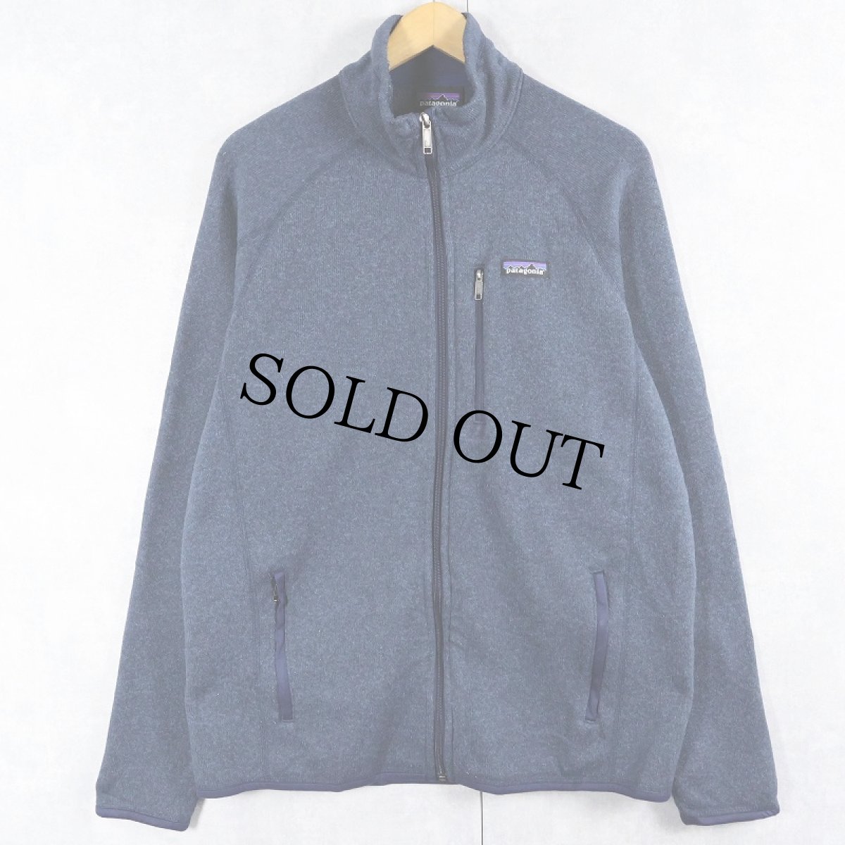 画像1: 2018SS Patagonia ベターセーター L (1)