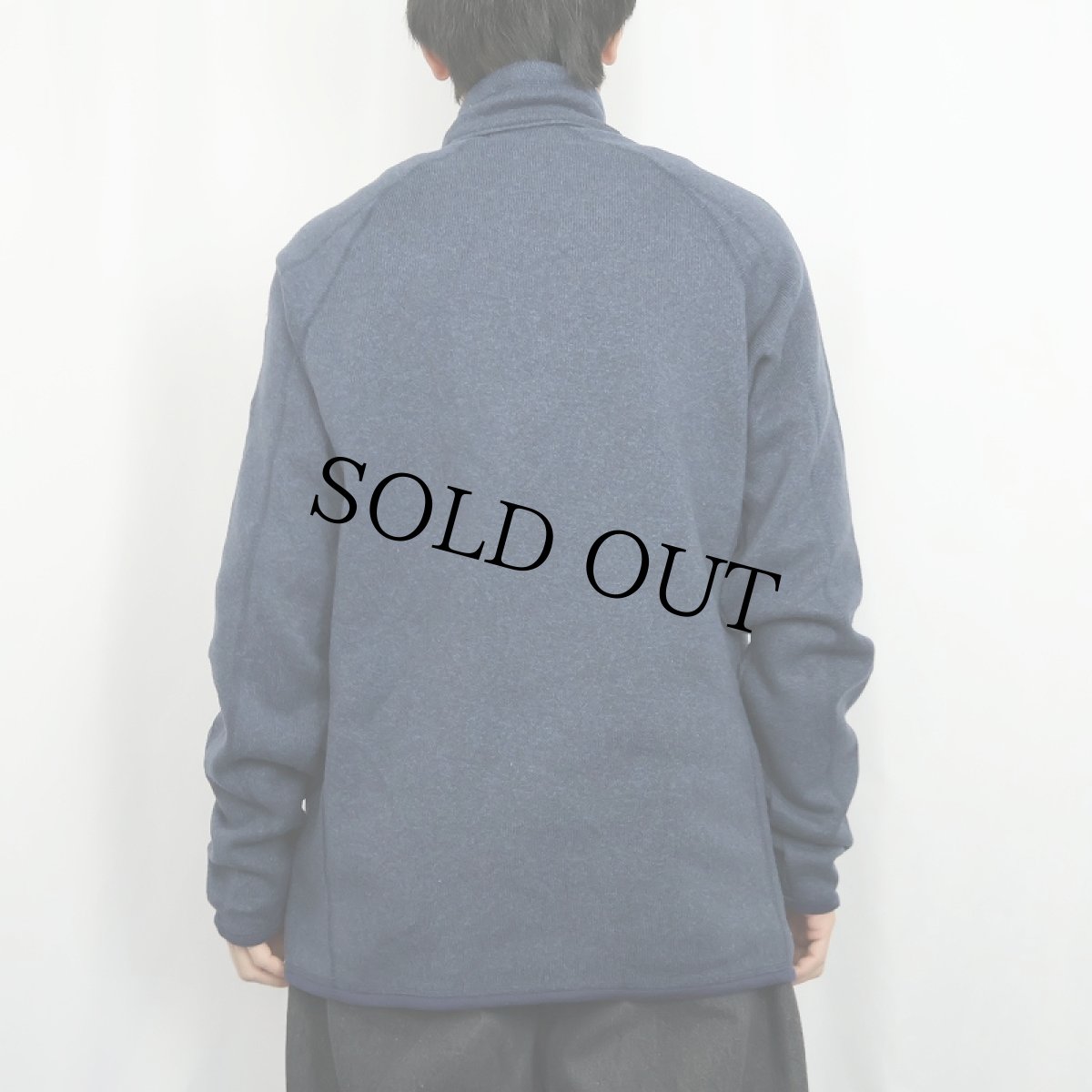 画像3: 2018SS Patagonia ベターセーター L (3)