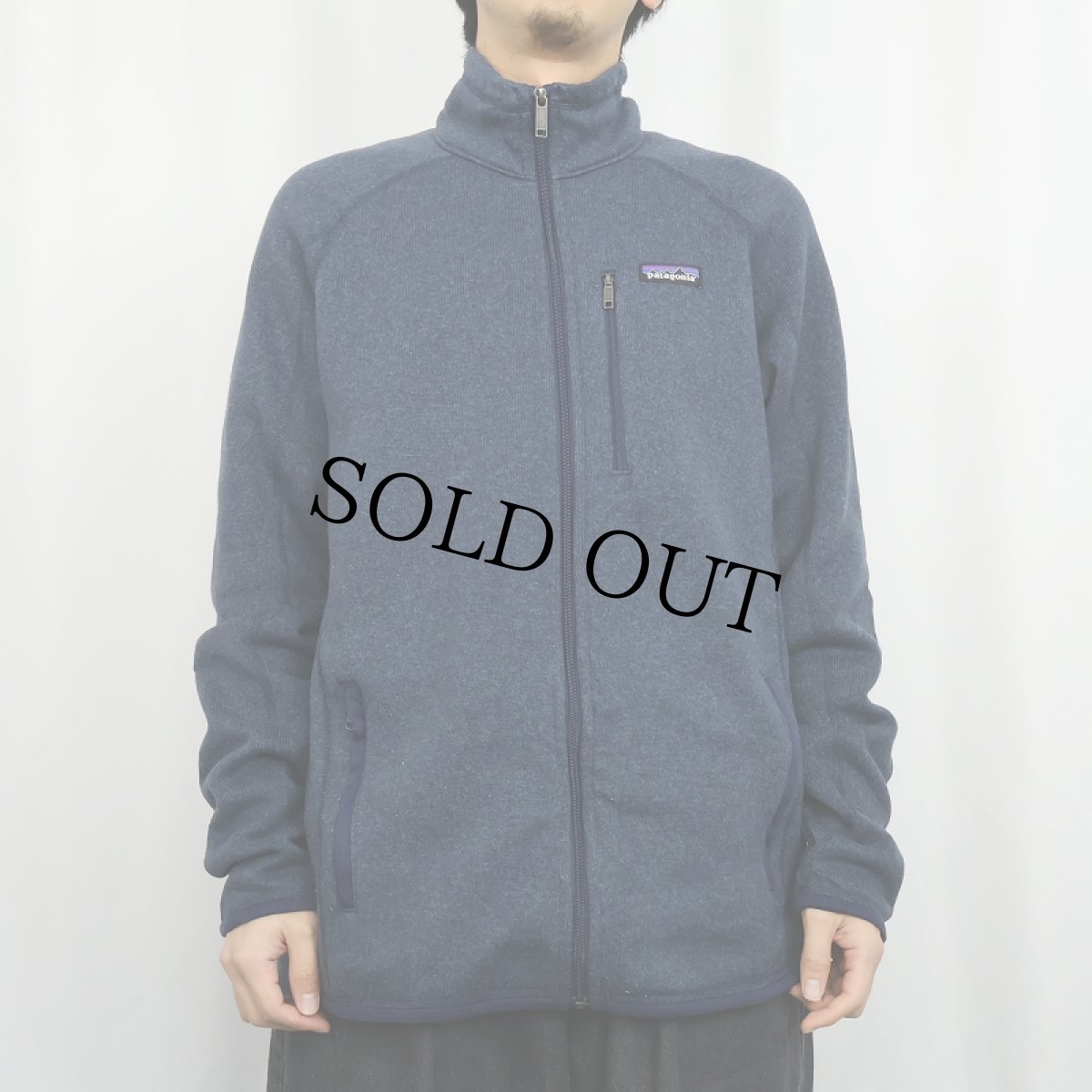 画像2: 2018SS Patagonia ベターセーター L (2)