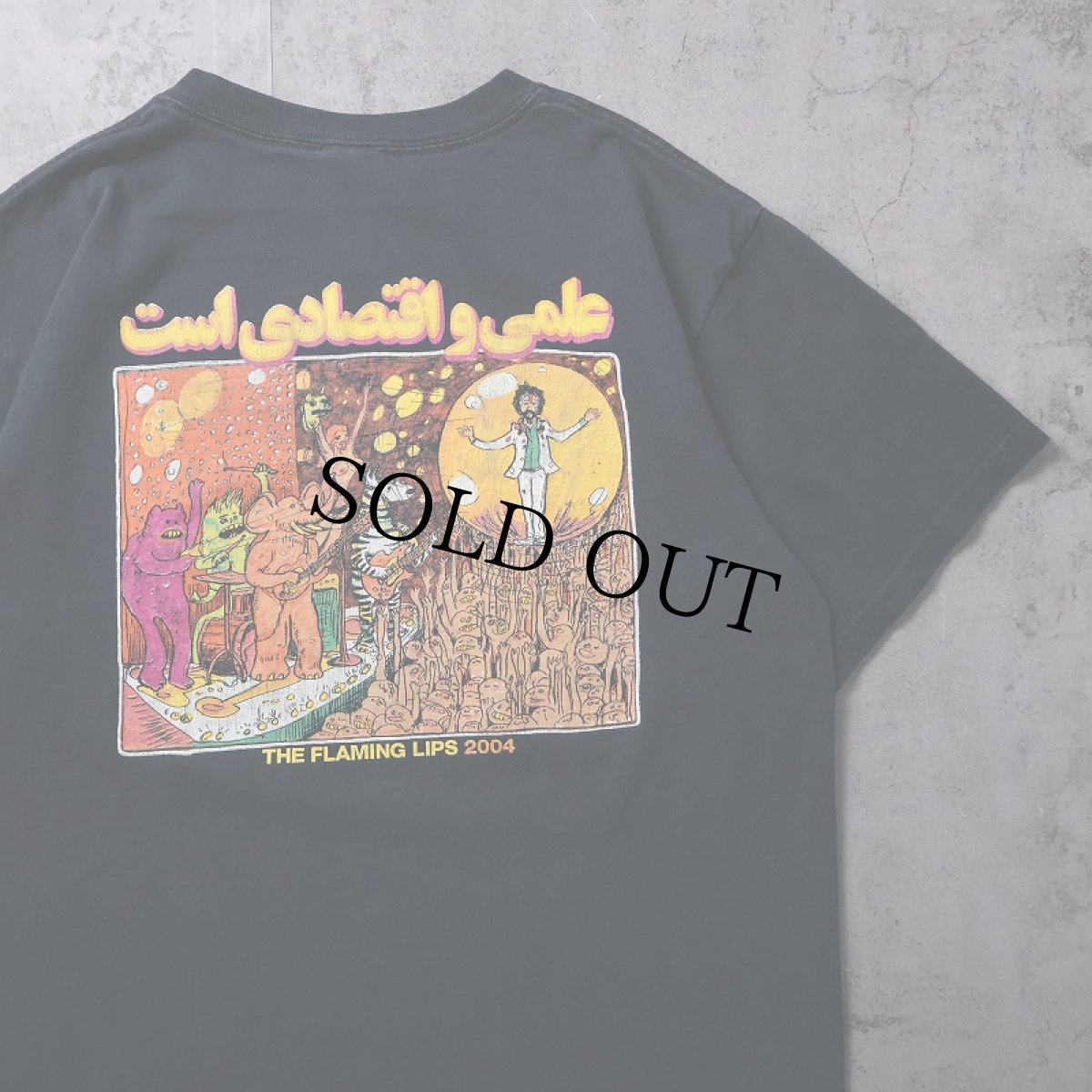 画像2: 2004 The Flaming Lips ロックバンドプリントTシャツ BLACK M (2)