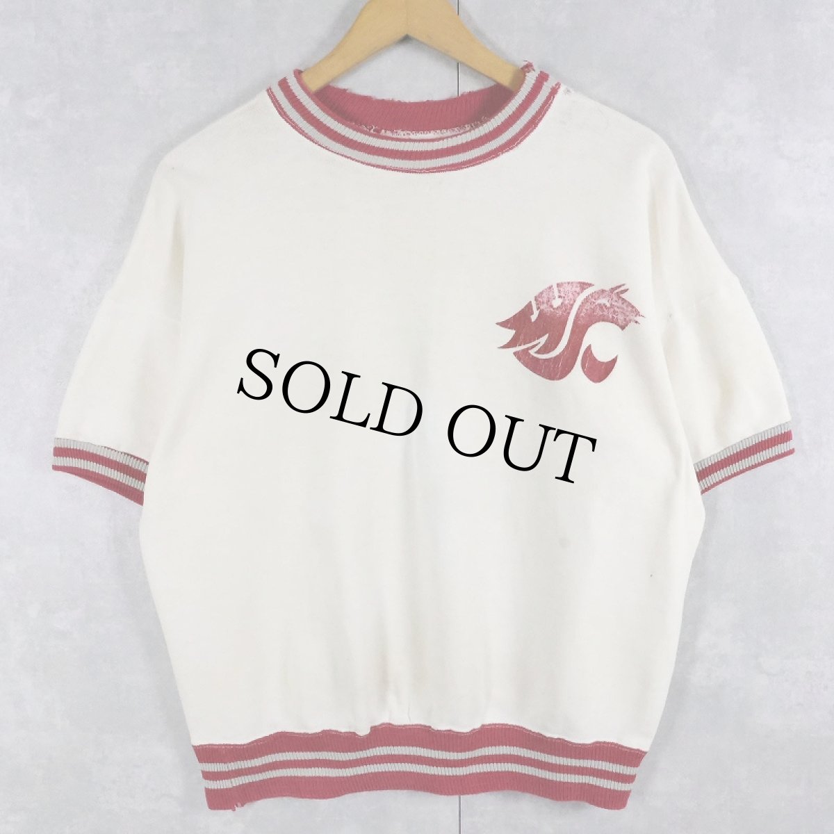 画像1: 60's Champion 大文字ランタグ USA製 "Cougars" プリント半袖スウェット L (1)