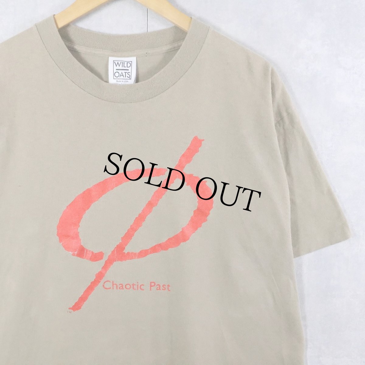 画像1: Chaotic Past USA製 アーティストプリントTシャツ L (1)