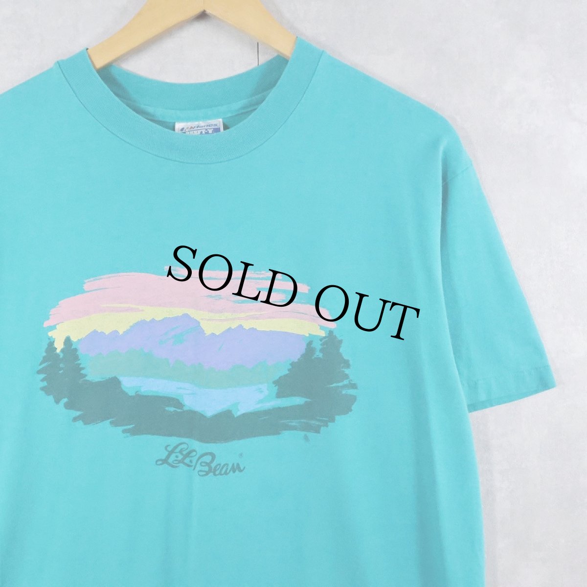 画像1: 90's L.L.Bean by Hanes USA製 ロゴプリントTシャツ L (1)
