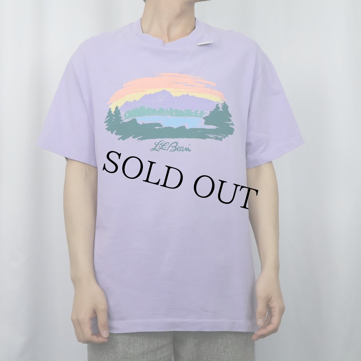 画像2: 90's L.L.Bean by SOF Tee USA製 ロゴプリントTシャツ L (2)