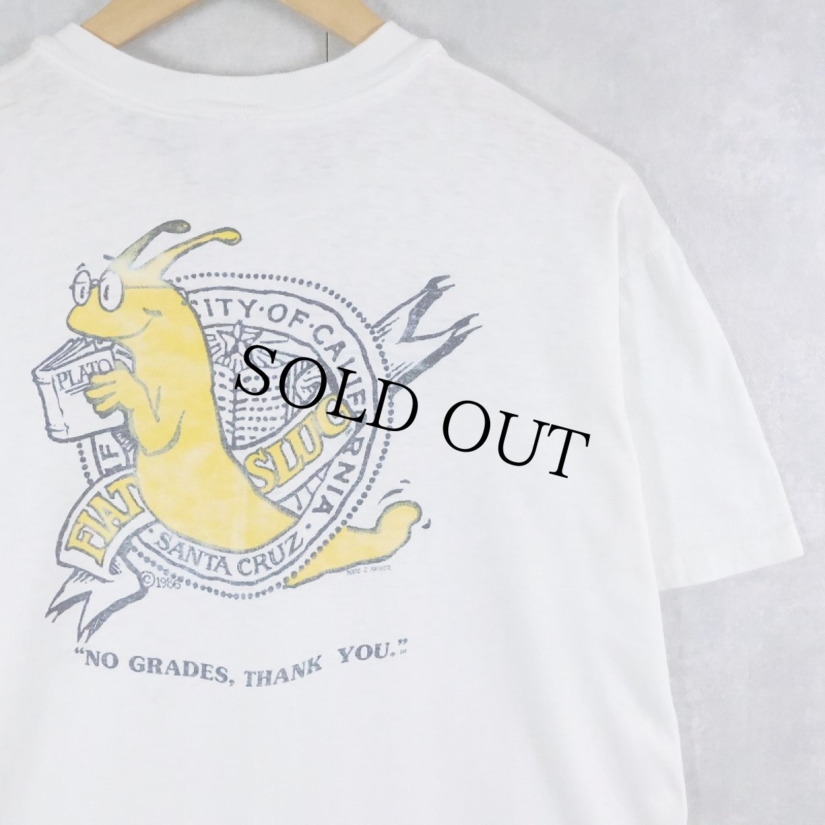 画像1: 80's UC SANTA CRUZ USA製 "BANANA SLUGS" プリントTシャツ L (1)