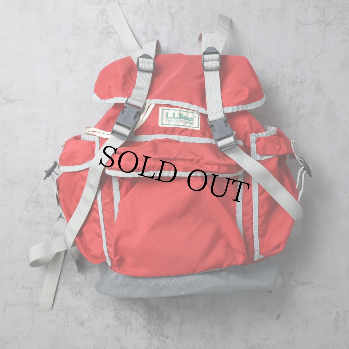 画像1: 80〜90's L.L.Bean ナイロンバックパック (1)