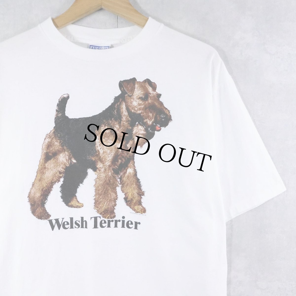 画像1: 90's USA製 "Welsh Terrier" 犬プリントTシャツ L (1)
