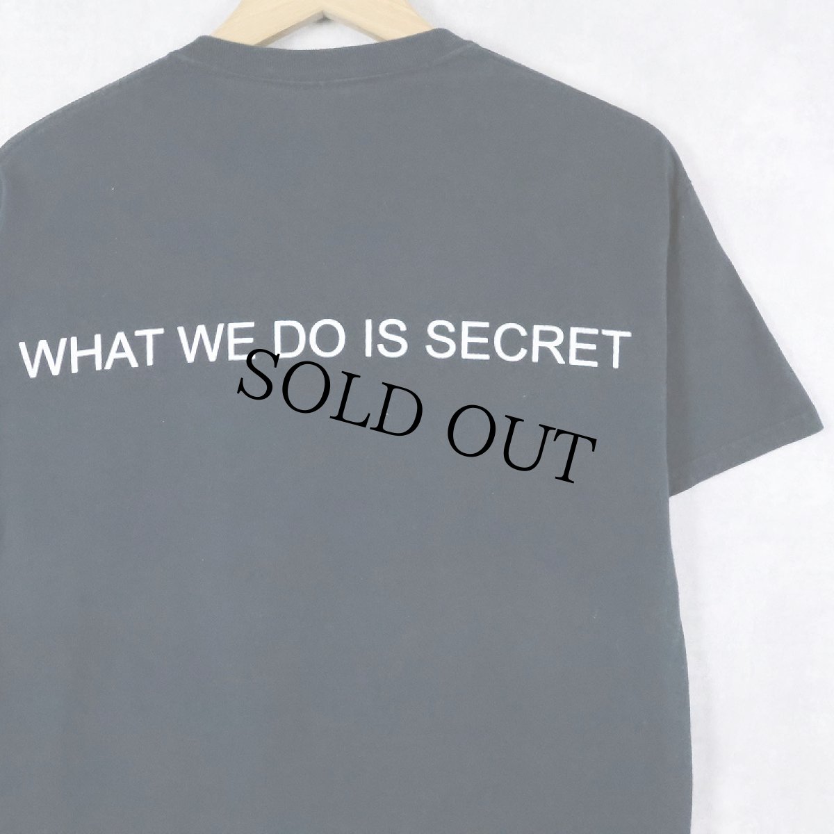 画像2: The Germs "What We Do Is Secret" パンクロックバンドアルバムTシャツ (2)