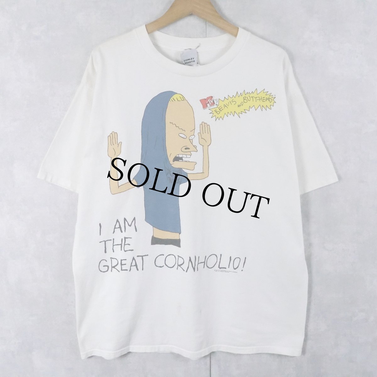 画像1: 90's STANLEY DESANTIS USA製 "BEAVIS AND BUTT-HEAD" キャラクタープリントTシャツ XL (1)