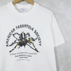 画像1: 90's American Tarantula Society USA製 非営利団体プリントTシャツ M (1)