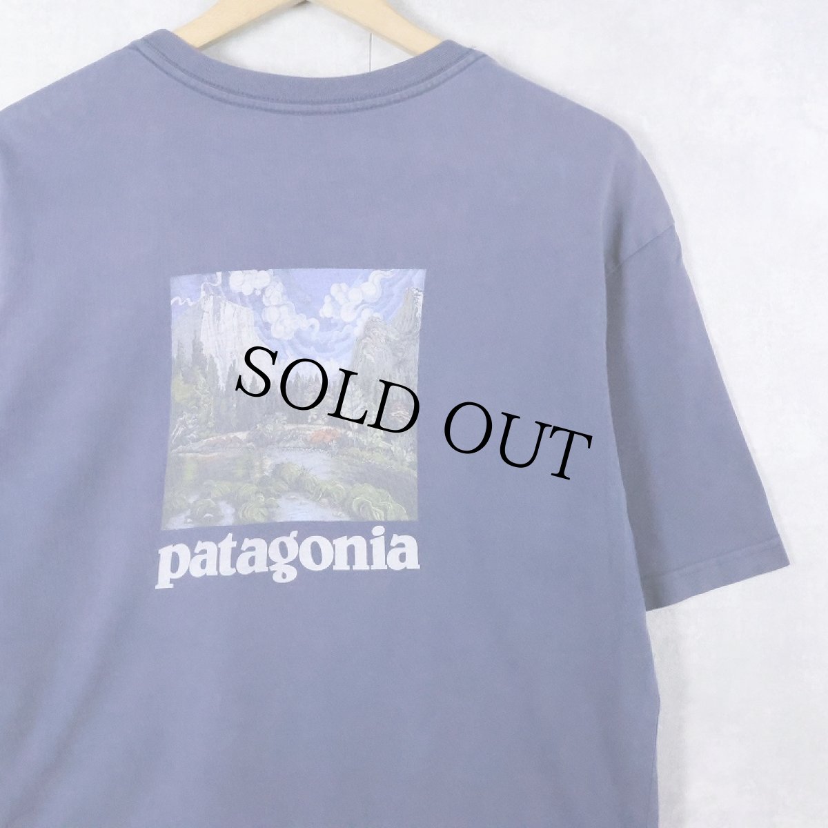 画像1: Patagonia ロゴプリントTシャツ M (1)