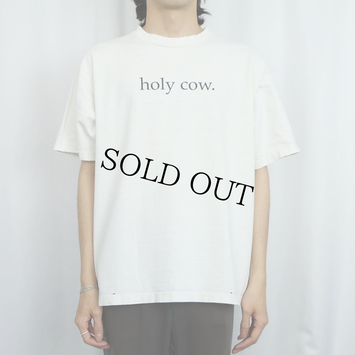 画像3: 90's USA製 "holy cow." 牛イラストプリントTシャツ L (3)