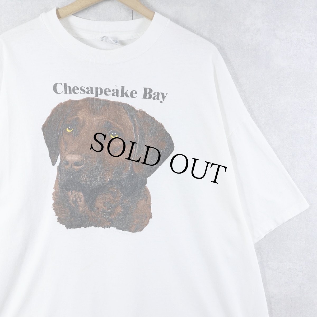 画像1: 90's USA製 "Chesapeake Bay" 犬プリントＴシャツ XXL (1)