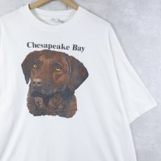 画像1: 90's USA製 "Chesapeake Bay" 犬プリントＴシャツ XXL (1)