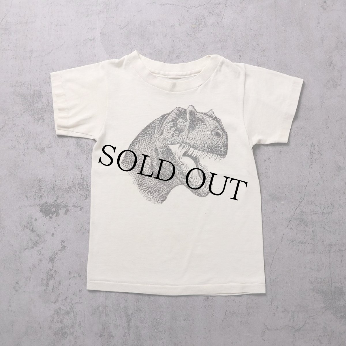 画像1: 70's DINOSAUR QUARRY 恐竜 染み込みプリントTシャツ KIDS SIZE (1)