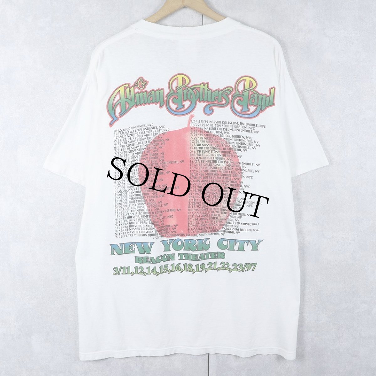 画像2: 90's The Allman Brothers Band USA製 ロックバンドツアーTシャツ L (2)