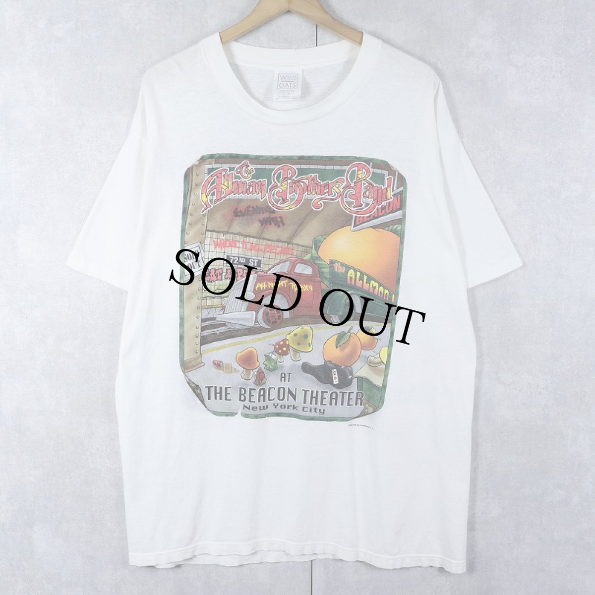 画像1: 90's The Allman Brothers Band USA製 ロックバンドツアーTシャツ L (1)