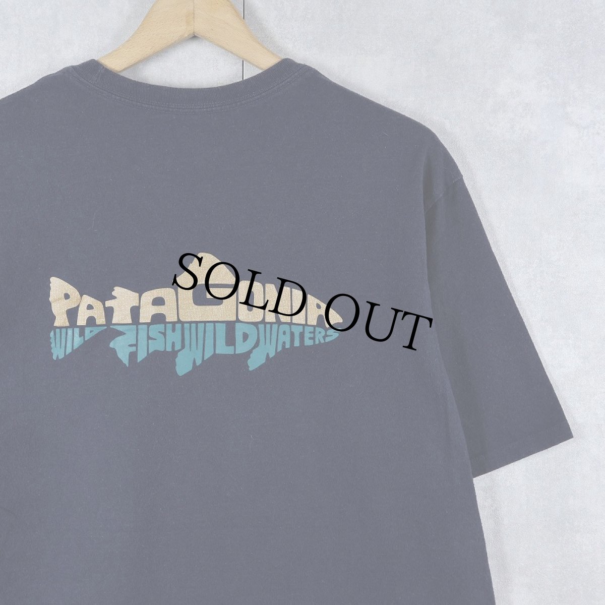 画像1: Patagonia "Wild Fish Wild Waters" プリントポケットTシャツ NAVY M (1)