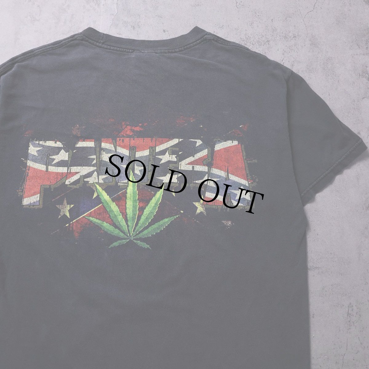 画像2: 2000's Pantera "HESHER DREAM" ヘヴィメタルバンドプリントTシャツ BLACK L (2)