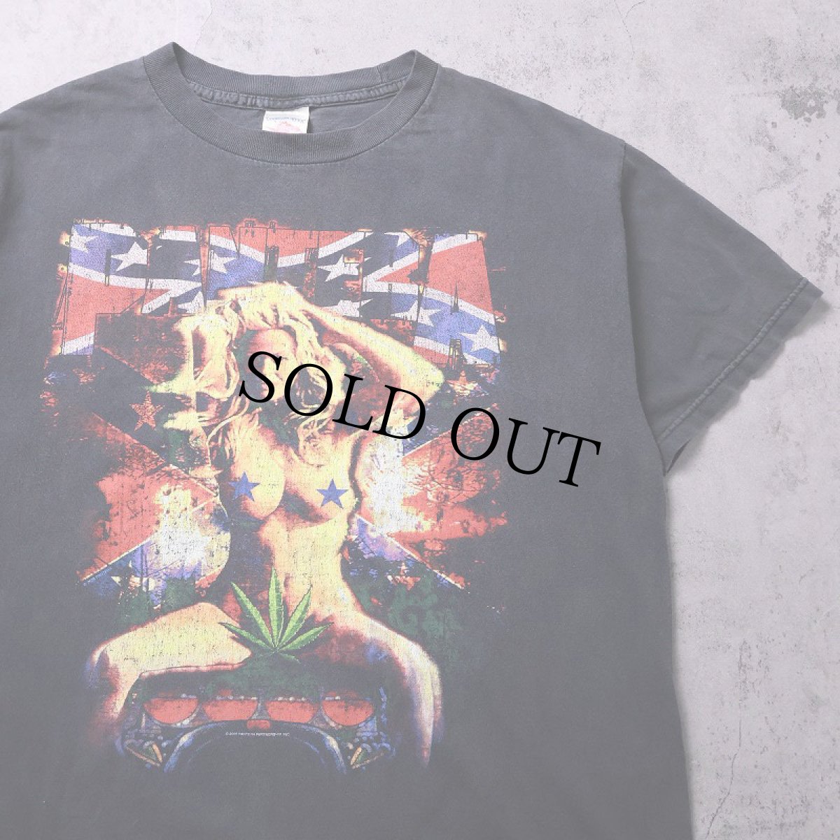 画像1: 2000's Pantera "HESHER DREAM" ヘヴィメタルバンドプリントTシャツ BLACK L (1)