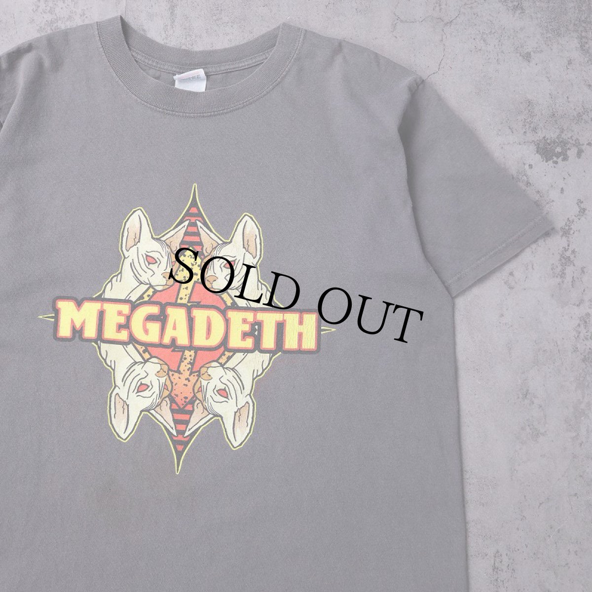 画像1: 1999 MEGADETH USA製 ヘヴィメタルバンド プリントTシャツ L (1)