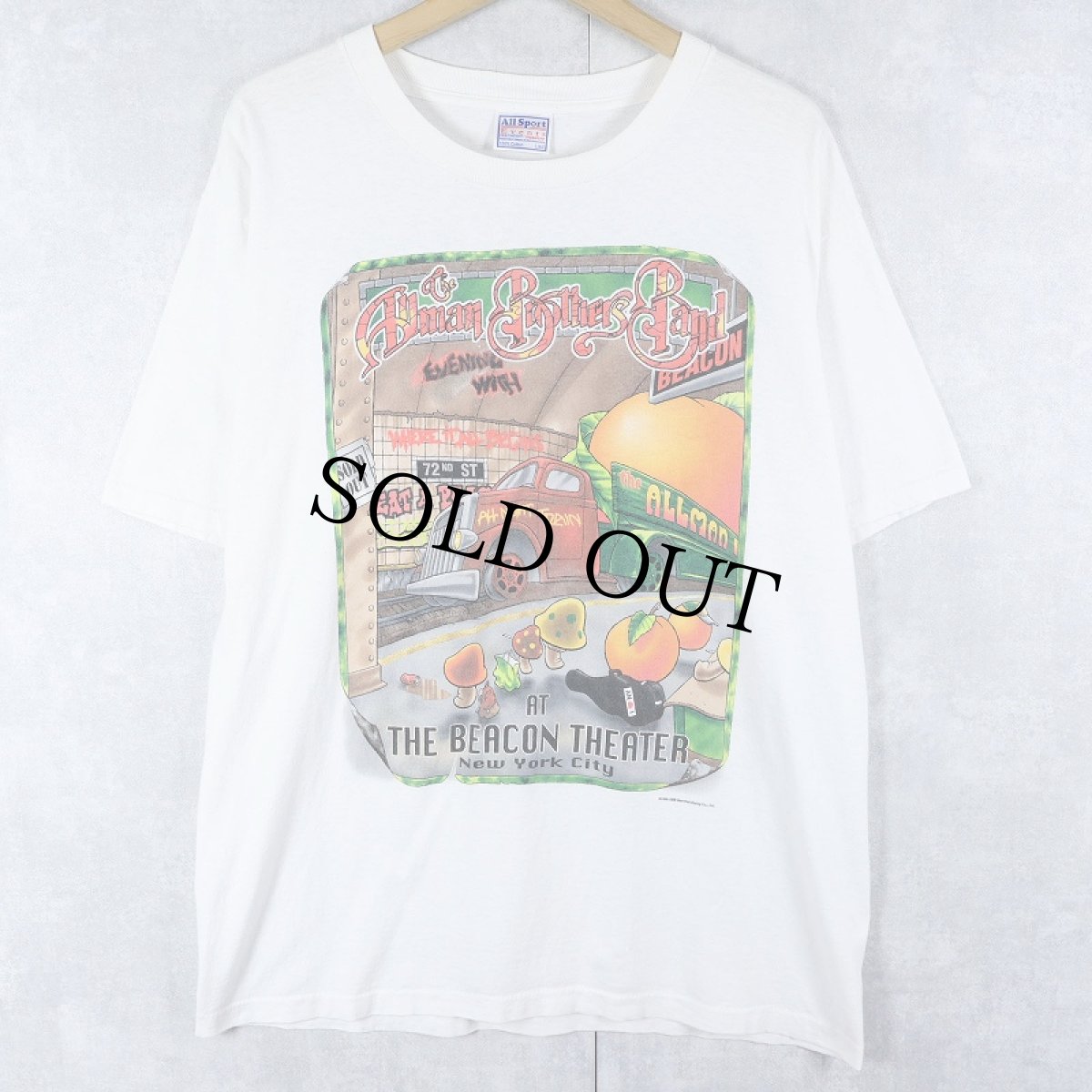 画像1: 90's The Allman Brothers Band USA製 ロックバンドツアーTシャツ L (1)