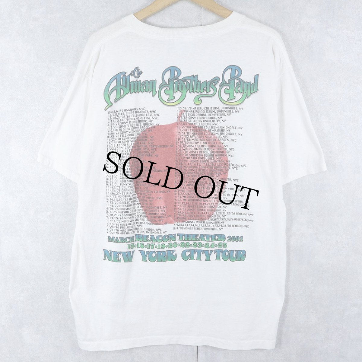 画像2: 90's The Allman Brothers Band USA製 ロックバンドツアーTシャツ L (2)