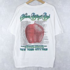 画像2: 90's The Allman Brothers Band USA製 ロックバンドツアーTシャツ L  (2)