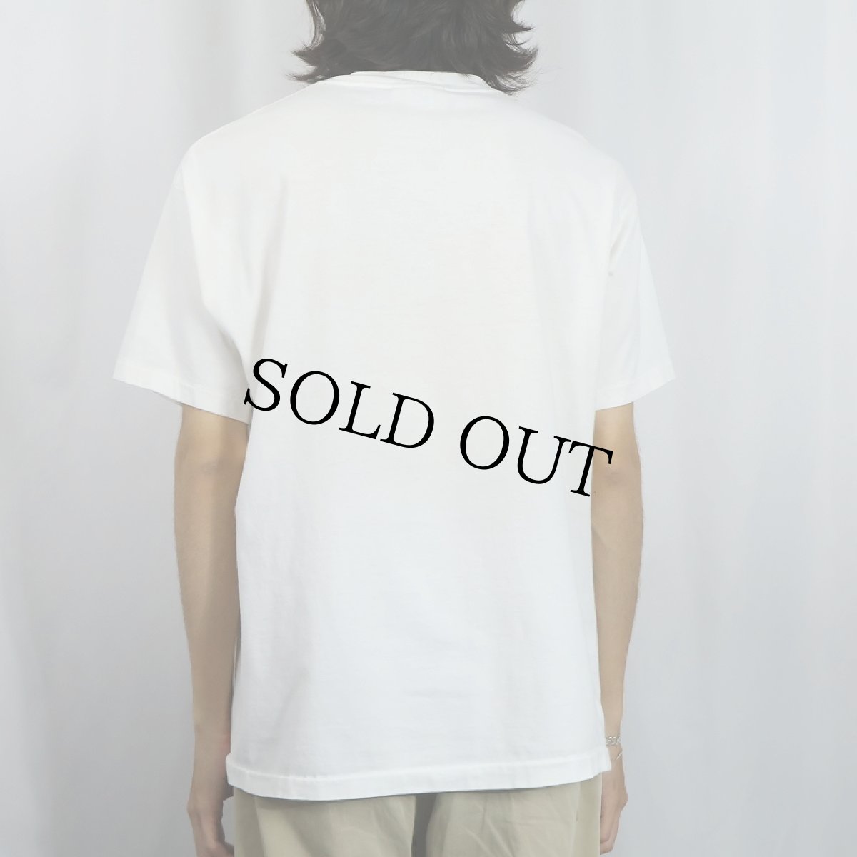 画像3: 90's BANANA REPUBLIC USA製トカゲプリントTシャツ M (3)