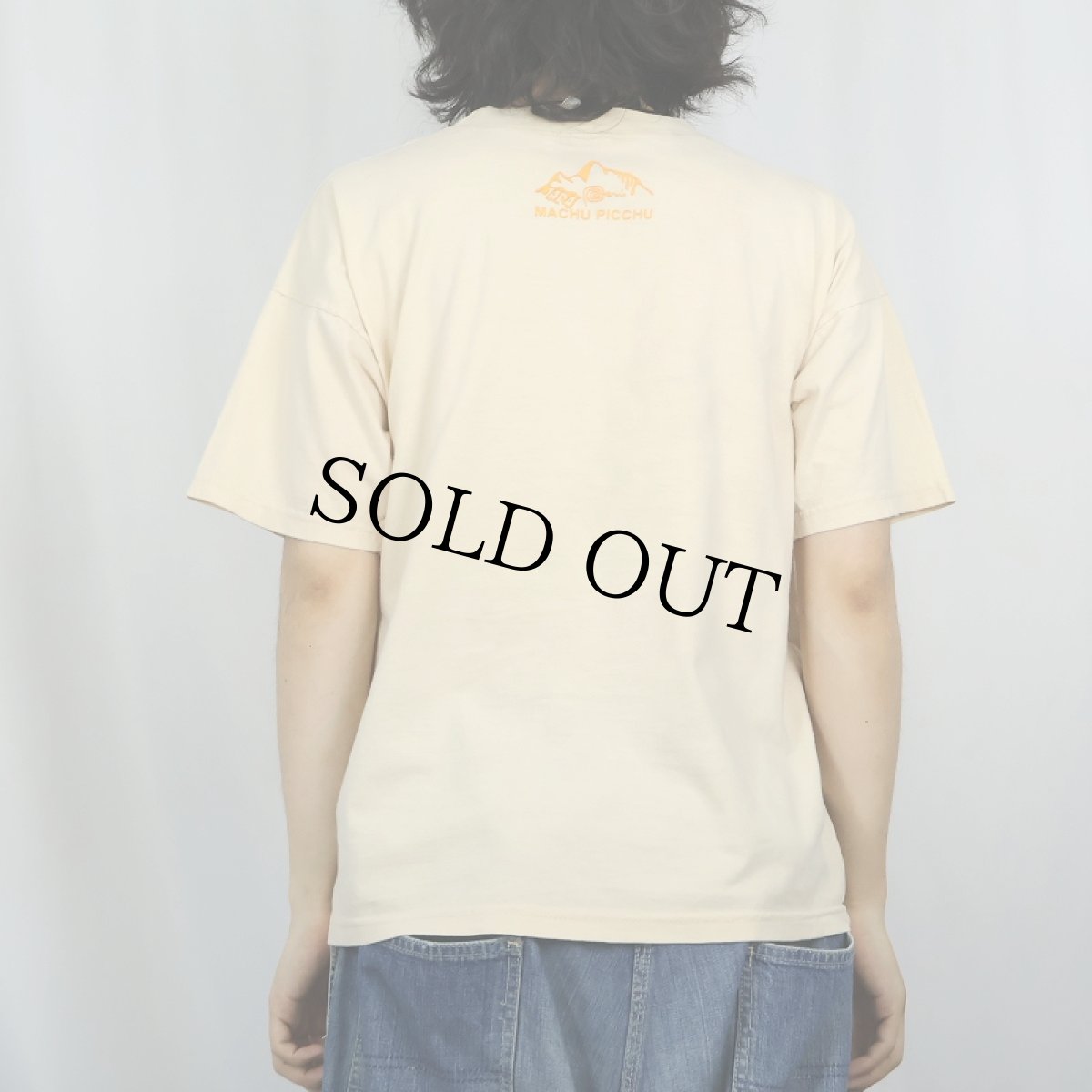 画像3: "Llamas" 四十八手 ラマ エロプリントTシャツ (3)