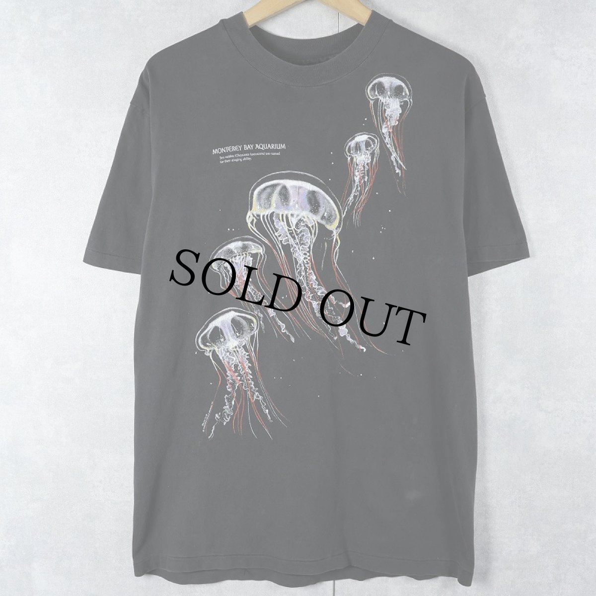 画像1: 90's USA製 "MONTEREY BAY AQUARIUM" クラゲプリントTシャツ BLACK M (1)