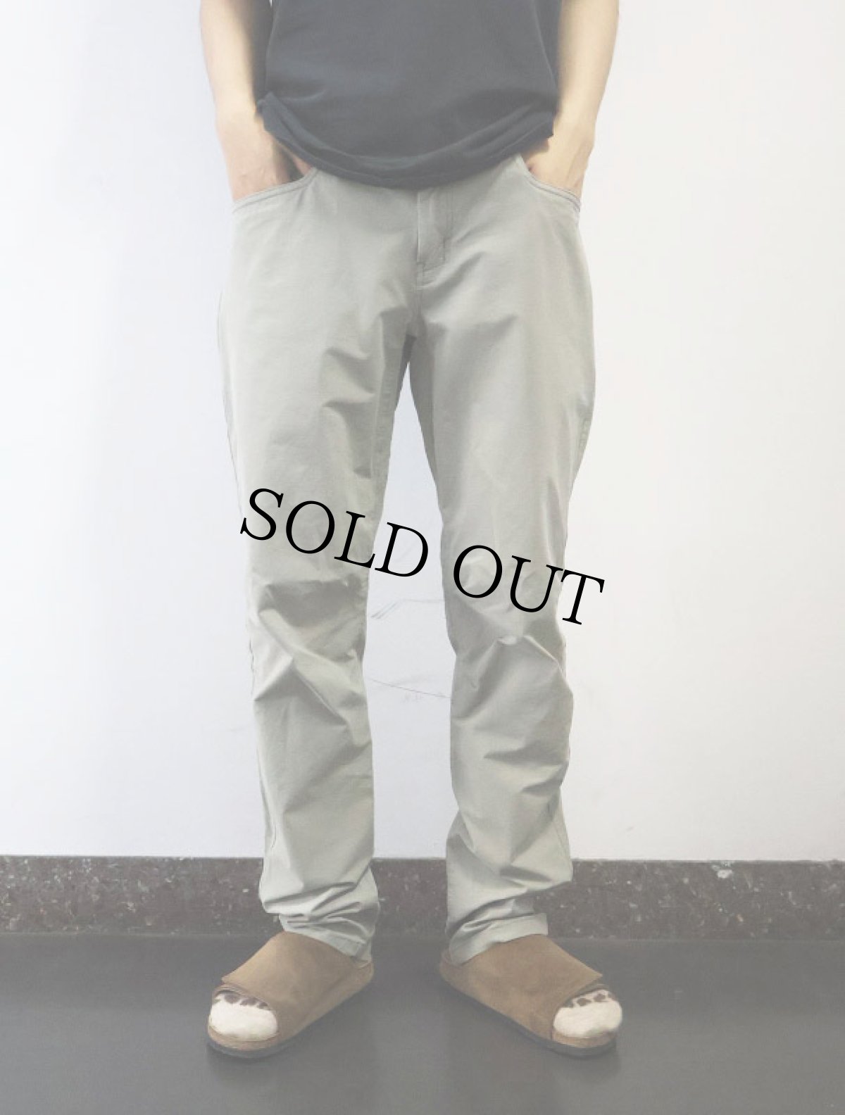画像3: ARC'TERYX LEVON PANTS W34 (3)