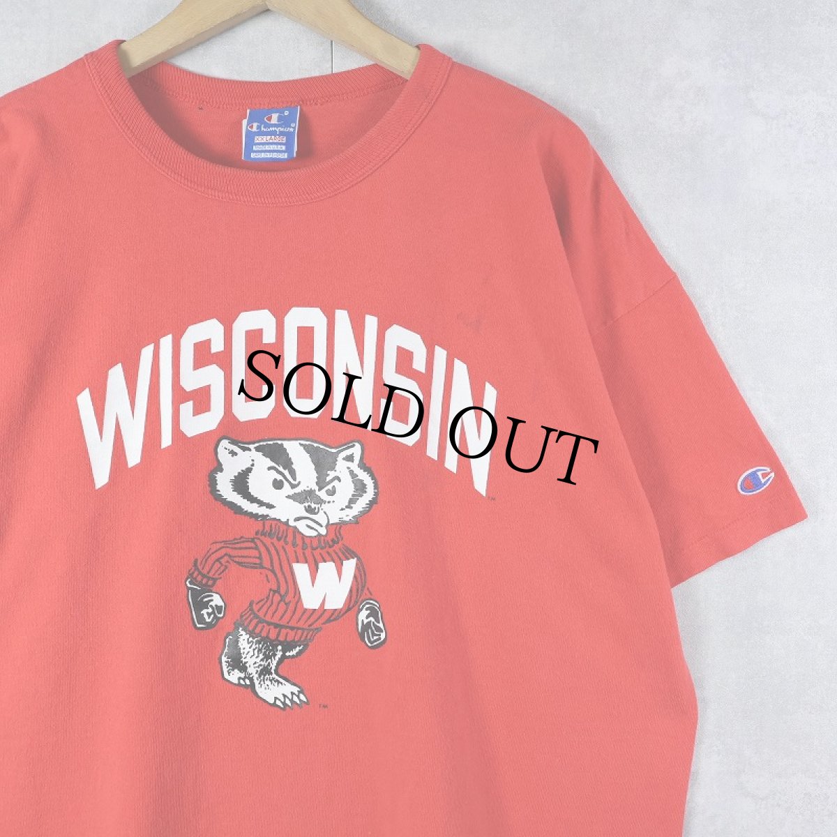 画像1: 90's Champion 青刺繍タグ 中期 USA製 "WISCONSIN" キャラクタープリントTシャツ XXL (1)