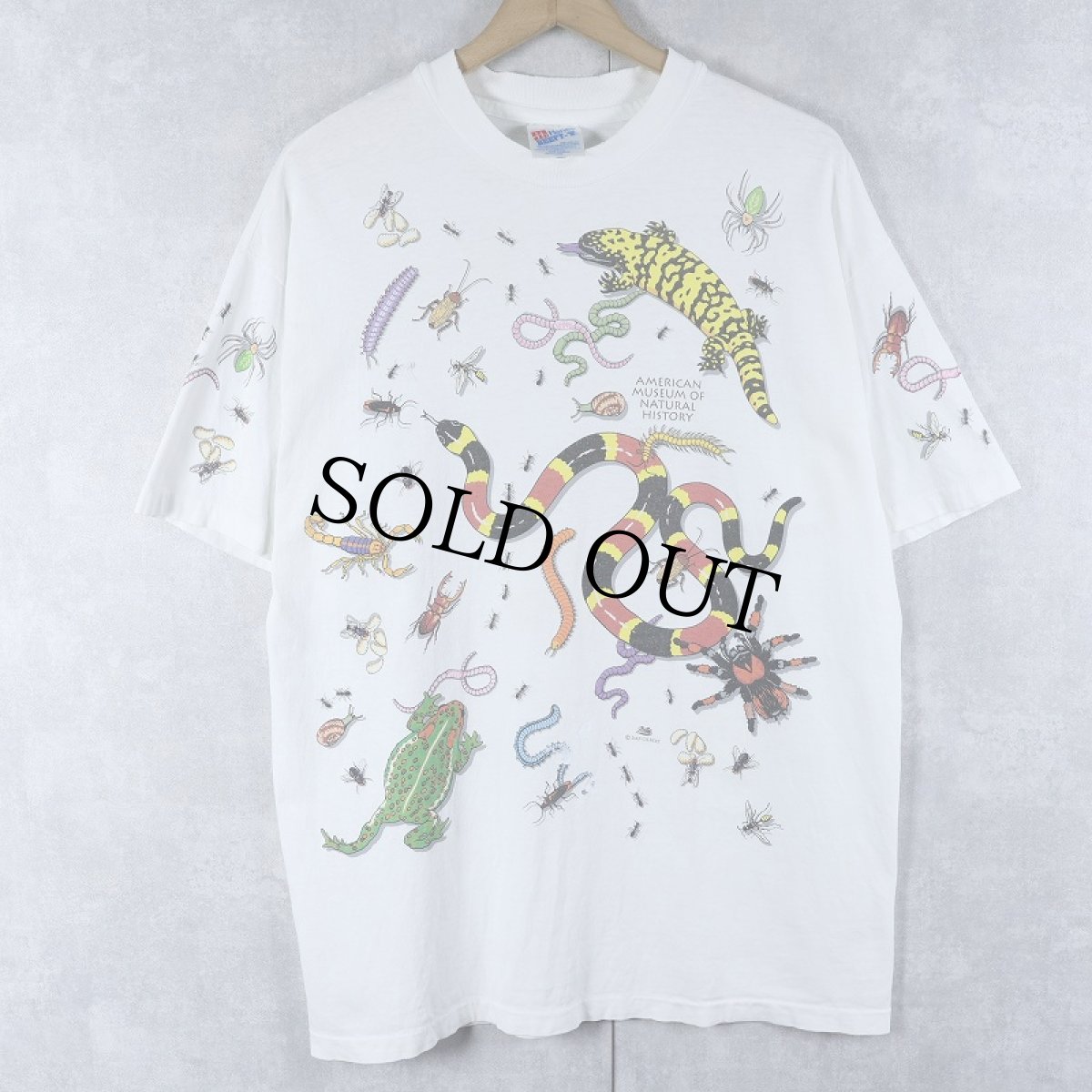 画像1: 90's DAN GILBERT USA製 "American Museum of Natural History" 大判プリントTシャツ L (1)