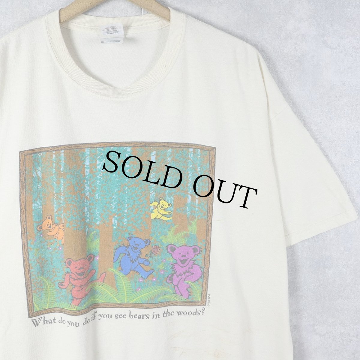 画像1: 90's GRATEFUL DEAD " What do you do if you see bears in the woods?" ロックバンドTシャツ XL (1)